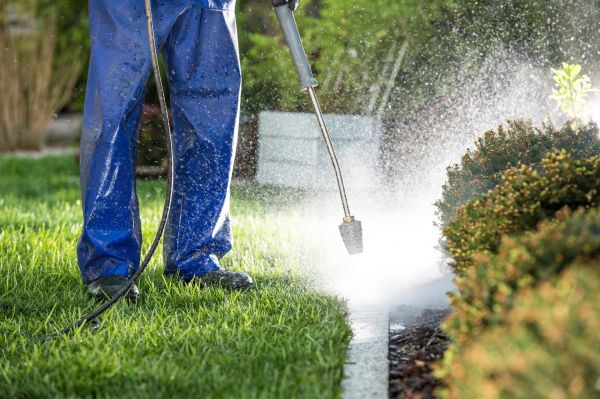 Curb Cleaning in Bellevue