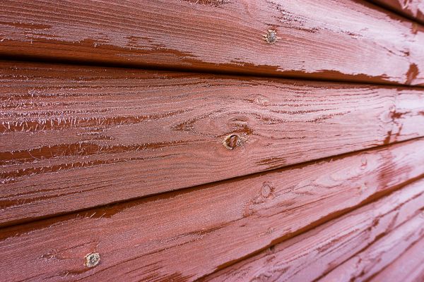 Cedar Siding Cleaning in Bellevue