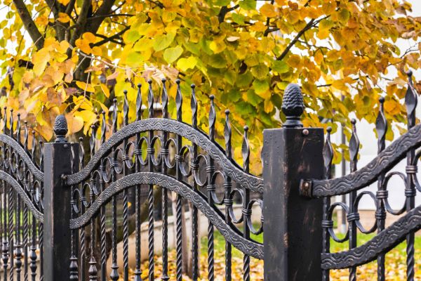 Wrought Iron Fence Washing in Bellevue