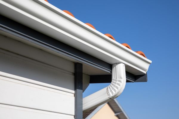 Roofline Cleaning in Bellevue