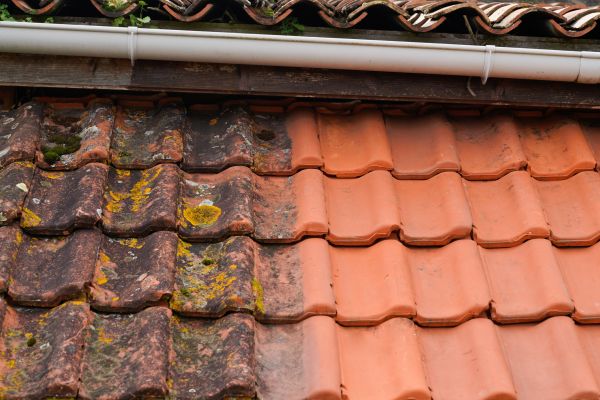 Industrial Roof Cleaning in Bellevue